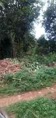1 Acre Residential Land for Sale in Makindye Kizungu - 3