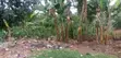 1 Acre Residential Land for Sale in Makindye Kizungu - 4
