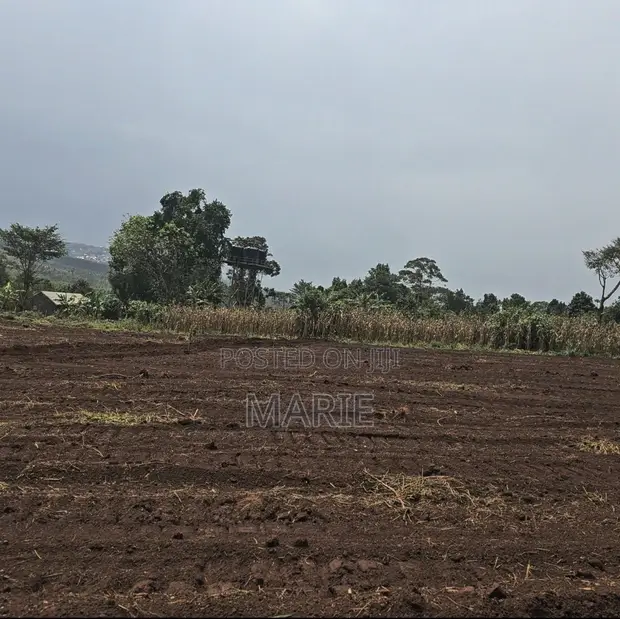 Titled 50x100 Plots for Sale in Katende - 1
