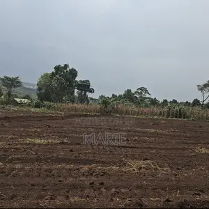 Titled 50x100 Plots for Sale in Katende