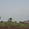 Titled 50x100 Plots for Sale in Katende - 2