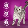 Whiskas Chicken in Jelly Cat Food 1+ Years - 2