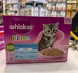 Whiskas Kitten Fish Favourites in Jelly Wet Cat Food (2-12 Months) - 1