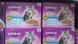 Whiskas Kitten Fish Favourites in Jelly Wet Cat Food (2-12 Months) - 3