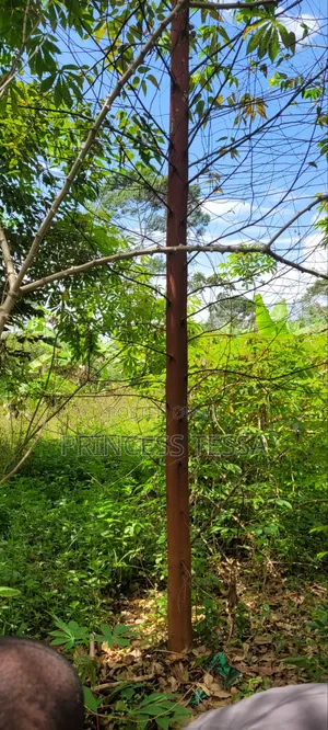Kibanja Land for Sale - 1.25 Acres, Ntenjeru/Mukono