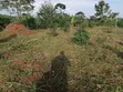 Kibanja Land for Sale - 1.25 Acres, Ntenjeru/Mukono - 4