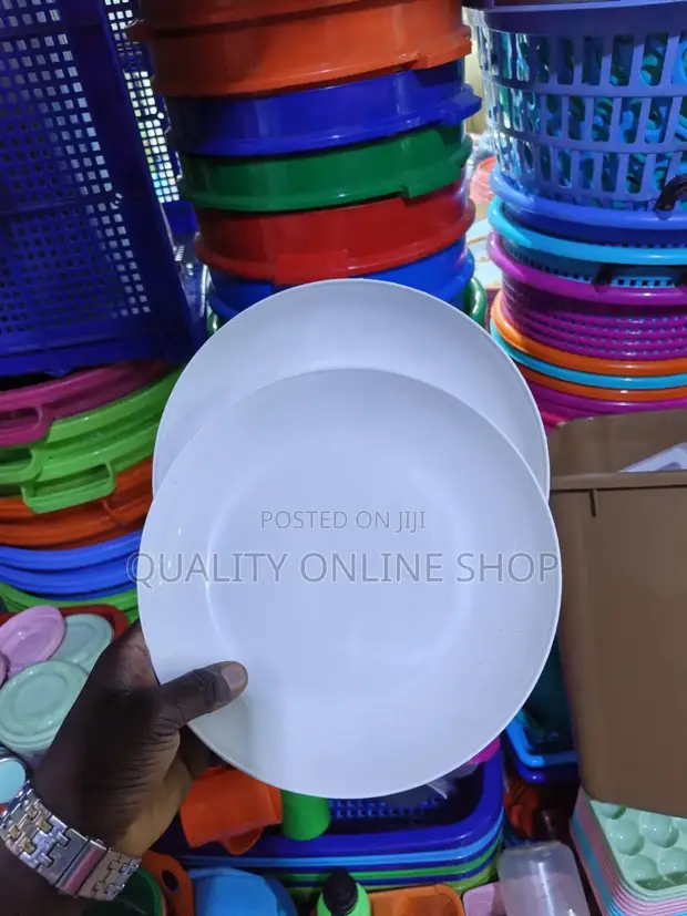 Plastic Dinner Plates (Set of 6) - 1