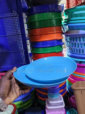 Plastic Dinner Plates - 12 Piece Set