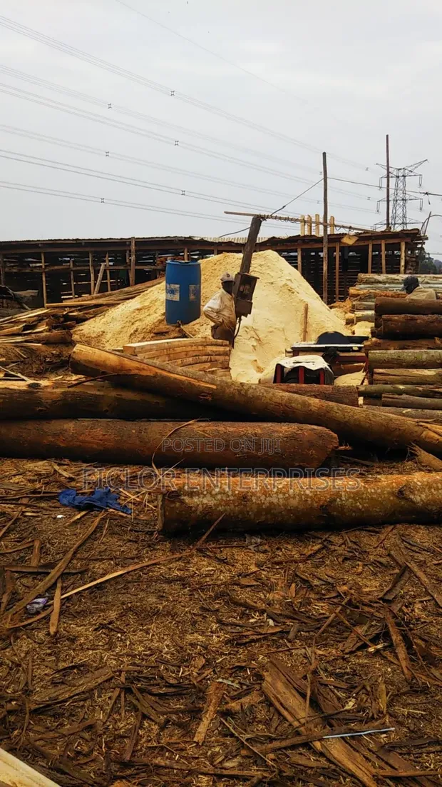 Sawdust/Wood Dust/Empumbu for Sale - 1