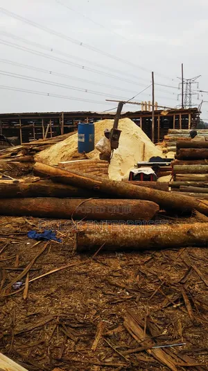 Sawdust/Wood Dust/Empumbu for Sale