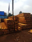 Pine Timber | Pine Wood Supplier - 2