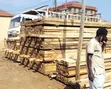 Pine Roofing Timber for Construction - 2
