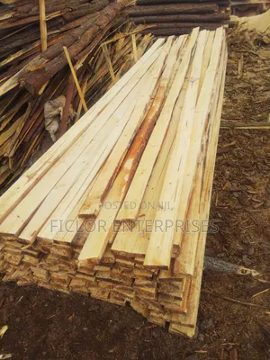 Pine Timber for Sale | Bulk Pine Wood