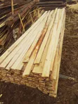 Pine Timber for Sale | Bulk Pine Wood - 1