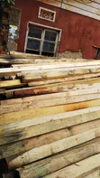 Pine Timber for Sale | Bulk Pine Wood - 3