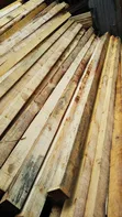 Pine Timber for Sale | Bulk Pine Wood - 4