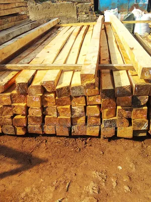 Eucalyptus Timber for Construction & Building