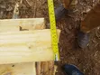 Eucalyptus Timber for Construction & Building - 2