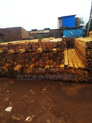 Eucalyptus Timber & Poles Supplier