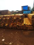 Eucalyptus Timber & Poles Supplier - 1