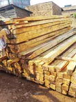 Eucalyptus Timber & Poles Supplier - 2