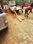 Eucalyptus Poles for Building & Fencing - 2