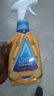 Astonish Multi Surface Cleaner 750ml - 1