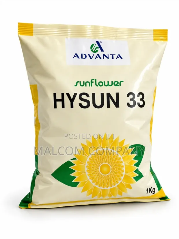 Advanta HYSUN 33 Hybrid Sunflower Seeds - 1