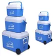 Multi-Size Insulated Rolling Cooler Set - 1