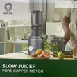 Green Lion Slow Juicer with Pure Copper Motor - 2