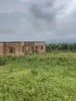 Plantation and Shell House for Sale in Ntungamo - 2