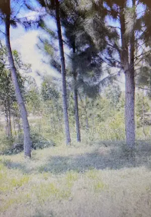 Land for Sale in Magamaga, Mayuge District