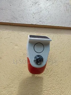 Solar Motion Sensor Light