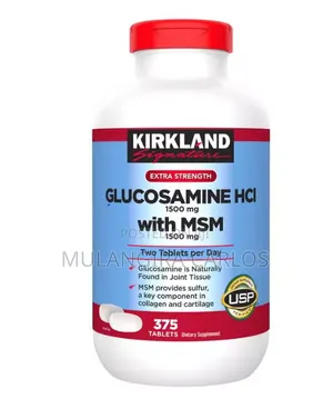 Kirkland Glucosamine with MSM, 1500mg (375 Tablets)