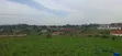 24 Decimals Land for Sale in Kasangati Kitti - 2