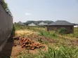 Plot for Sale in Kikandwa, Hoima Road - 5