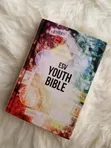 ESV Youth Bible - English Standard Version - 1