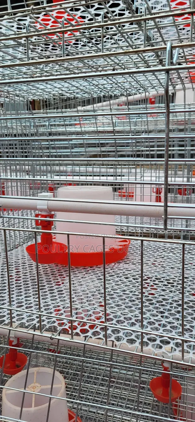 Brooding and Broiler Cages for Poultry Farming - 1