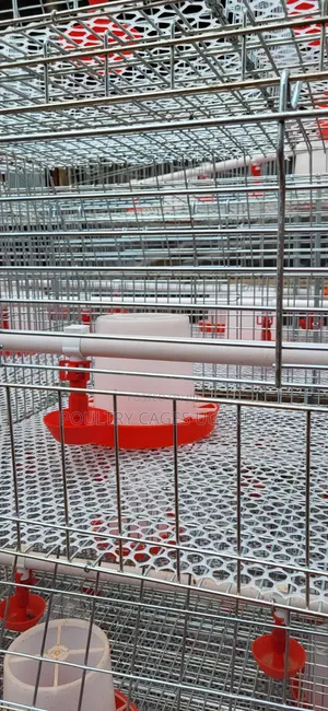 Brooding and Broiler Cages for Poultry Farming