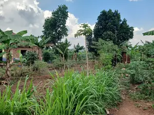 1 Acre Prime Land for Sale in Nakasajja