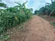 1 Acre Prime Land for Sale in Nakasajja - 2