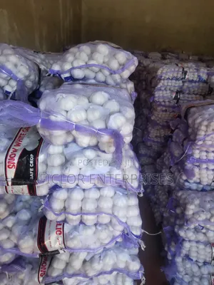 Garlic for Sale - Wholesale & Retail
