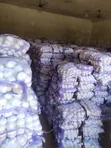 Garlic for Sale - Wholesale & Retail - 2