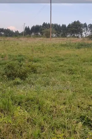 Land for Sale - 50x100ft, Luwero