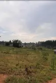 Land for Sale - 50x100ft, Luwero - 3