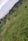 Land for Sale - 50x100ft, Luwero - 4