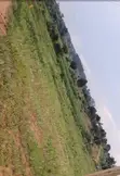 Land for Sale - 50x100ft, Luwero - 5