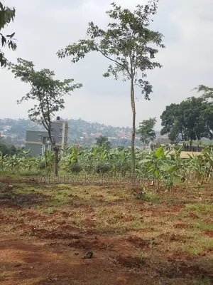Busiika Town Land for Sale