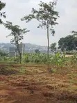 Busiika Town Land for Sale - 1