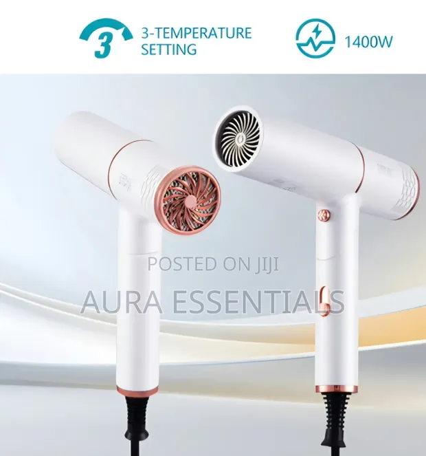 Winning Star ST-5738 Foldable Hair Dryer - 1